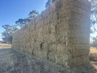Oaten Hay 