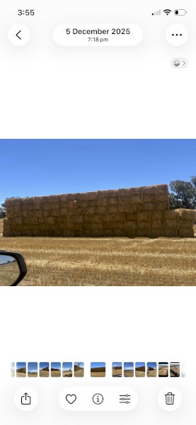 1000mt Oaten Hay 500kg 8x4x3 Bales