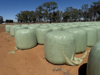 400mt Vetch Silage Round Bales