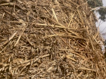 80 x Oaten Silage 4x4 Bales