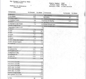 Wheaten Hay 8x4x4 Bales
