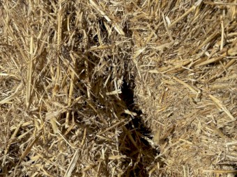 200mt Barley Staw 350-400kg 8x4x3 Bales