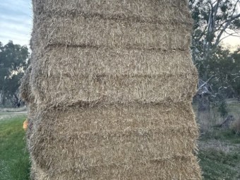 200mt Barley Staw 350-400kg 8x4x3 Bales