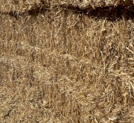 200mt Barley Staw 350-400kg 8x4x3 Bales