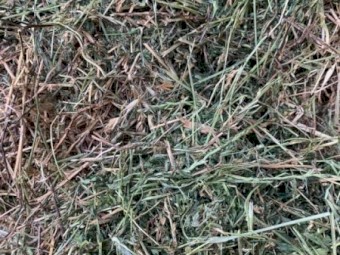 200mt Lucerne Hay 630kg 8x4x3 Bales