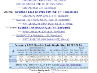 Registered Speckle Park Bull