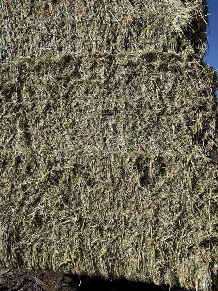 240t Wheat Hay