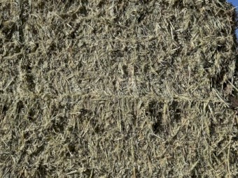 240t Wheat Hay