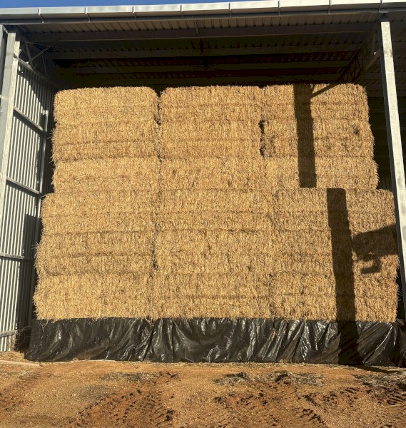275mt Wheaten Hay 640kg 8x4x3 Bales