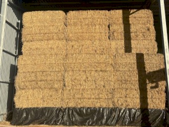275mt Wheaten Hay 640kg 8x4x3 Bales