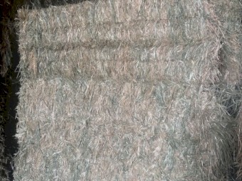 Oaten Hay