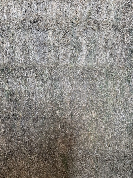 240mt Vetch Hay 8x4x3 Bales