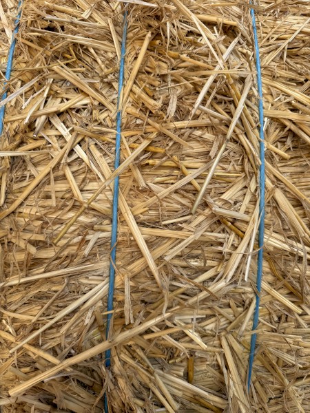 500mt Wheaten Straw 4500-480kg 8x4x3 Bales