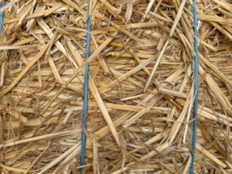 500mt Wheaten Straw 4500-480kg 8x4x3 Bales