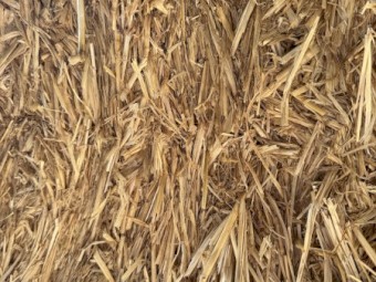 500mt Wheaten Straw 4500-480kg 8x4x3 Bales