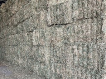 160mt Oaten Hay 600-650kg 8x4x3 Bales