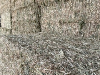 160mt Oaten Hay 600-650kg 8x4x3 Bales