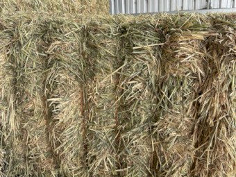 160mt Oaten Hay 600-650kg 8x4x3 Bales