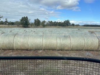 Mixed Hay 5x4 Round Bales