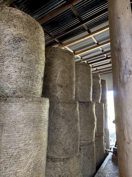 Shedded Meadow Hay Round Bales For Sale