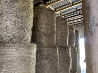 Shedded Meadow Hay Round Bales For Sale