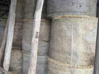 70 x Rye Clover Field Hay Rolls