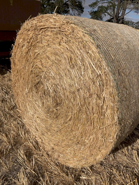 300mt Barley Straw Rolls