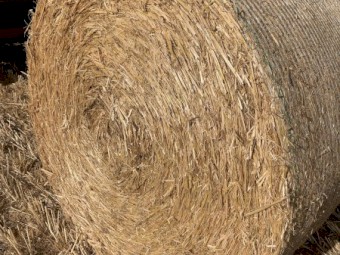 300mt Barley Straw Rolls