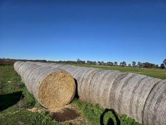 Wheat Header Tailings (80 rolls)
