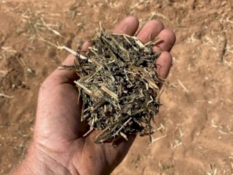 Vetch Hay 580kg 8x4x3 Bales