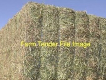 1000mt Oaten Hay (8x4x3 - 600-650kg Bales) 1st & 2nd Grade New Season