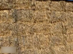 100mt Oaten Hay 8x4x3 Bales