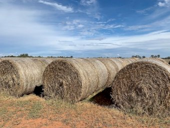 80mt Oaten Hay 5x4 Round Bales