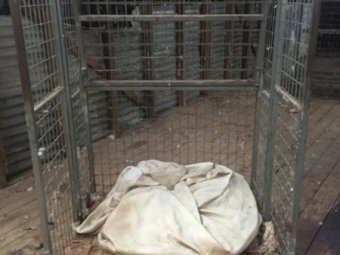 Under Auction - (A133) - Wool Pack Stand B 