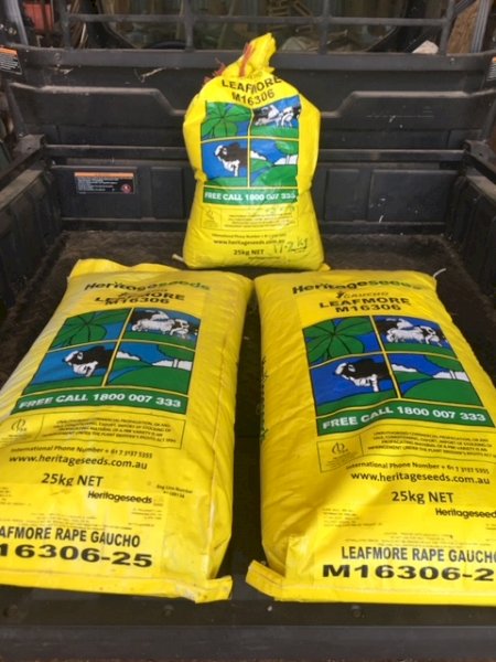 Under Auction - (A133) - Leafmore Brassica Seed 