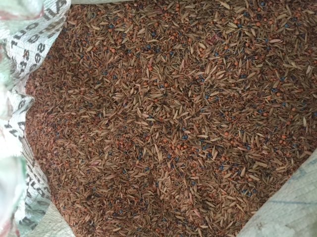 Under Auction - (A133) - Mixed Pasture Seed 