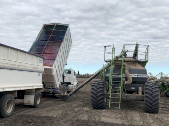 Sterling Truck & Dog