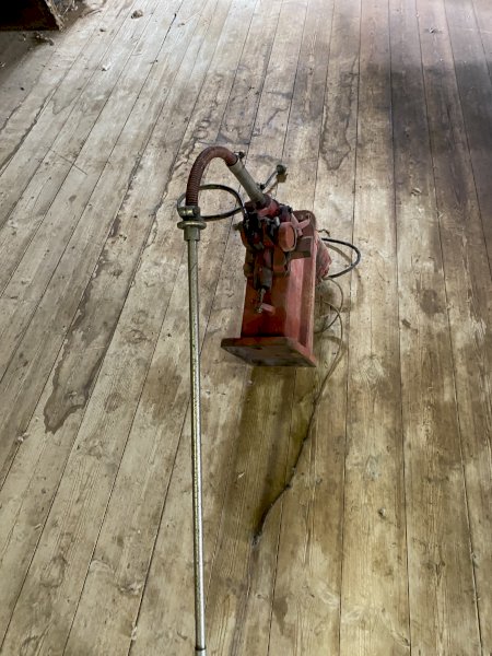 2 x Sunbeam Shearing Plants