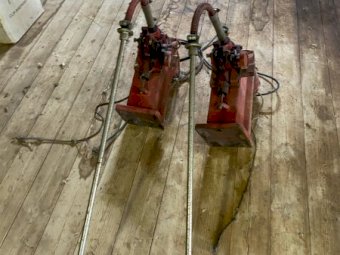 2 x Sunbeam Shearing Plants