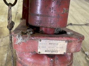 2 x Sunbeam Shearing Plants