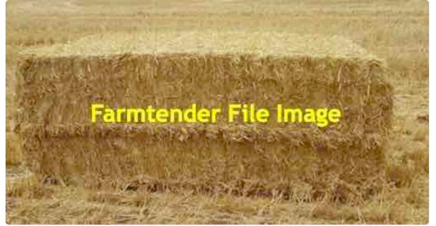 Barley Straw 8x4x3 Bales (Shedded)