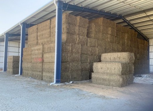 150mt Vetch Hay 8x4x3 Bales