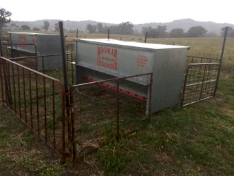 Under Auction - (A133) - Sheep Feeder 07 Bromar A1456 