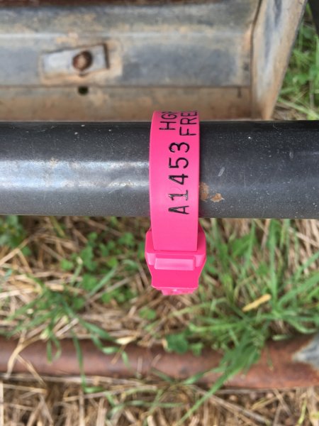 Under Auction - (A133) - Sheep Feeder 10 Cowra Lick A1453 