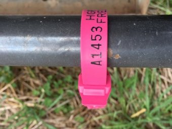 Under Auction - (A133) - Sheep Feeder 10 Cowra Lick A1453 