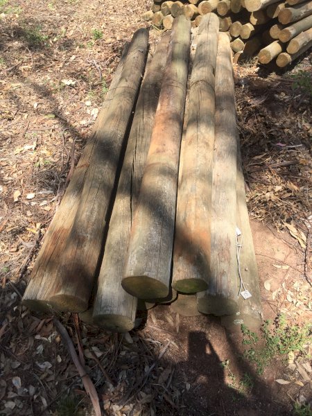 Under Auction - (A133) - Treated Pine Posts 01 -150mm 