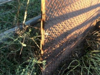 (A133) - Cattle Weigh Platform