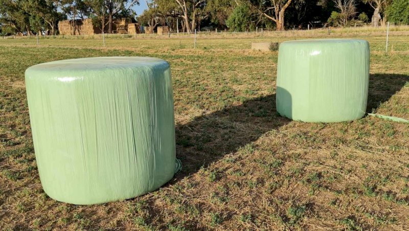44 x Lucerne Silage Bales