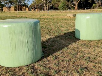 44 x Lucerne Silage Bales