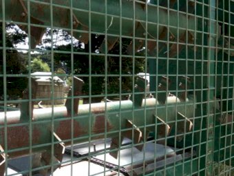 (A137) - 2012 Feedmax Feed Out Wagon